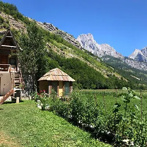  Guest house Ledio Albania