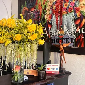 Alma Maya Antigua